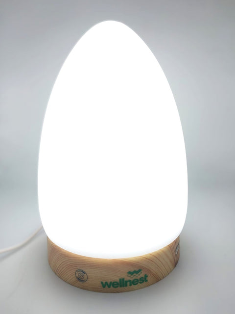 Wellnest Light Therapy Lamp