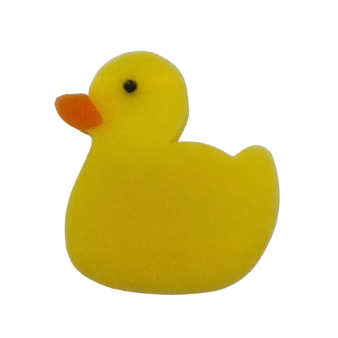 Yellow Duck Scum Sponge